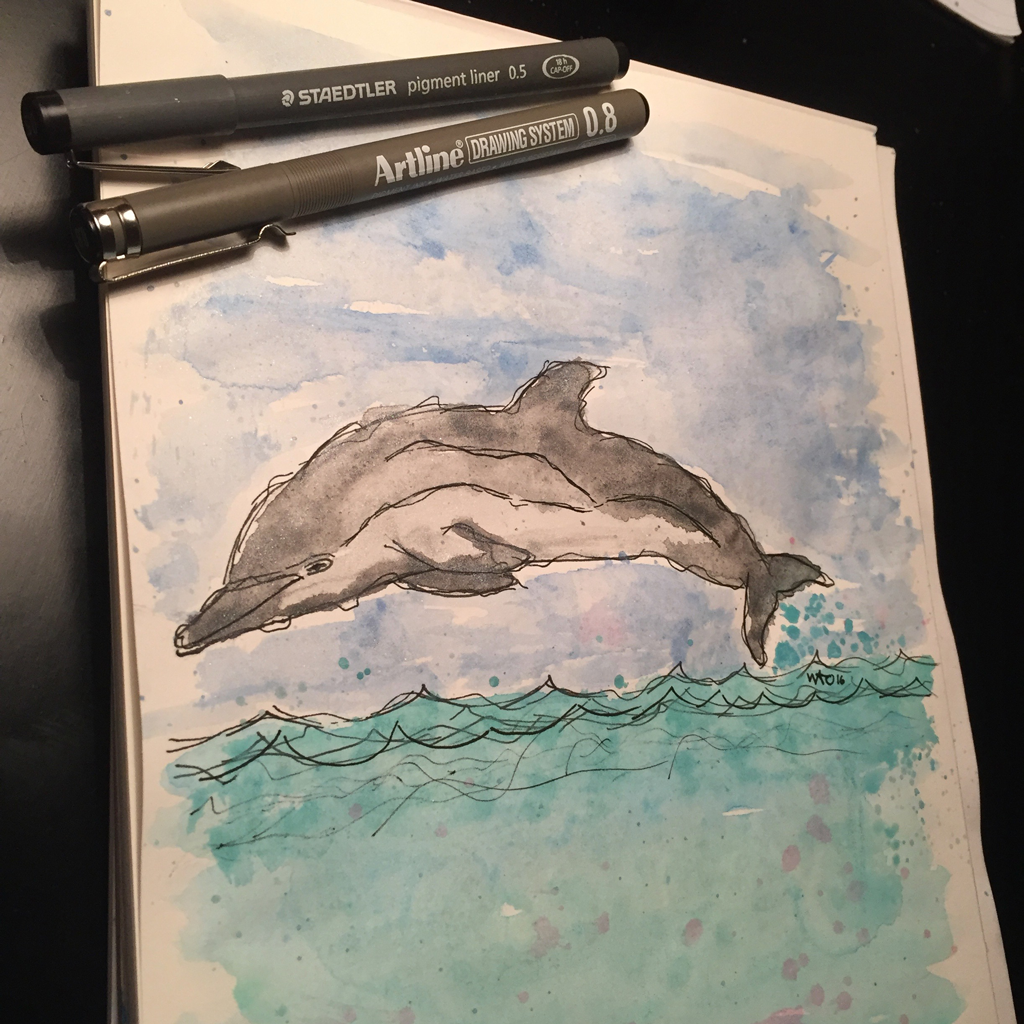 dolphin delfin akvarel illustration illustrator