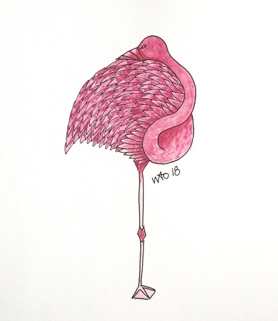 Flamingo akvarel illustration