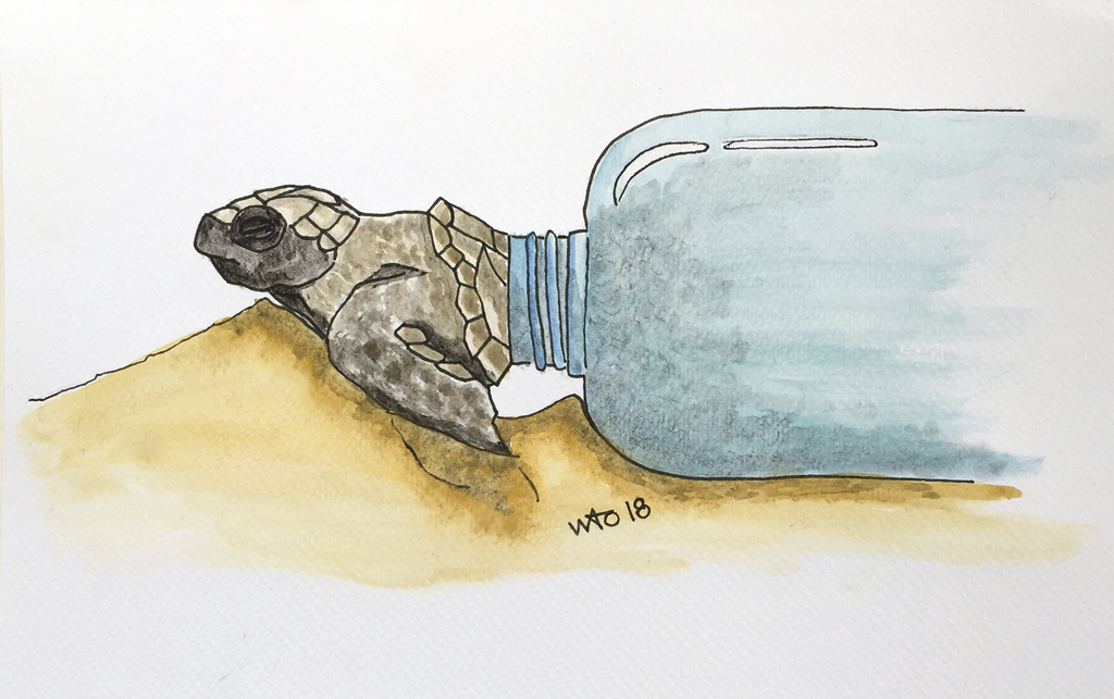 turtle skildpadde forurening plastic illustration